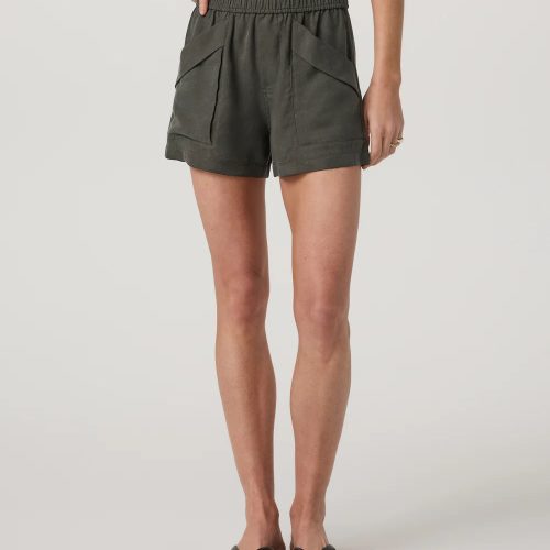 Trestles Twill Short