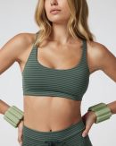 Stripe Yosemite Bra