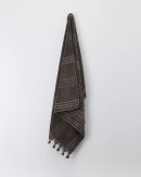 Fringe Beach Towel