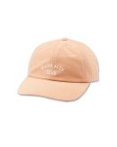 ACTV Club Dad Hat