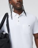 Ace Polo