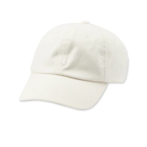 V1 Dad Hat 2.0